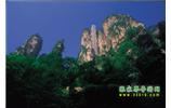 網(wǎng)絡(luò)熱門純玩游：張家界、天子山、袁家界、楊家界 自助三日游