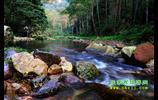 第一天：張家界國家森林公園 黃石寨 金鞭溪       宿：索溪峪