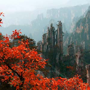 休閑自駕E線：張家界、袁家界、天子山、寶峰湖、鳳凰古城、沱江泛舟四晚五日游