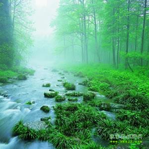 【純玩散拼尊享系列3】張家界、天子山、袁家界、黃龍洞、鳳凰三晚四日游